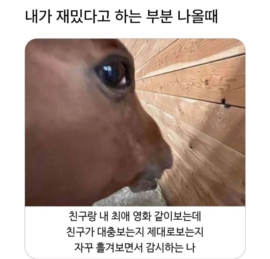 "이 영화/드라마 재밌는데 같이 볼래?"_1.jpg