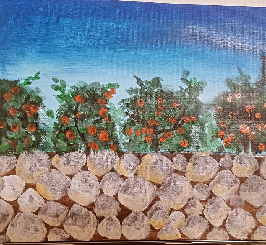 집앞 귤밭_1.webp