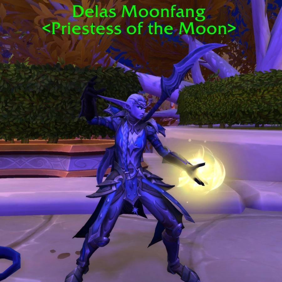 나엘 성기사! 와우 한밤에서 다른 종족도 성기사 선택 가능 예정?_2.jpg