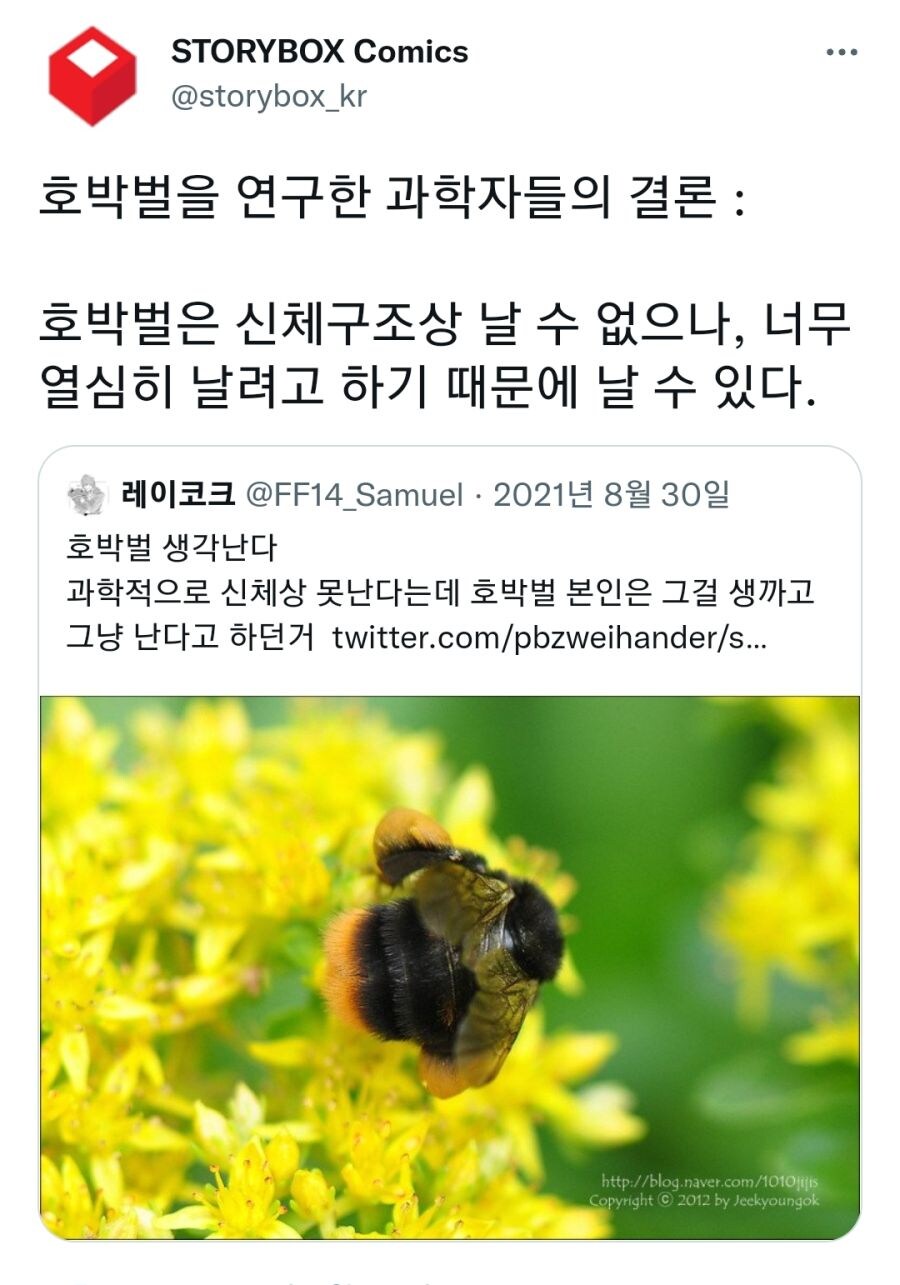 호박벌이 뚱뚱한 몸으로 날아다닐 수 있는 이유_4.jpg