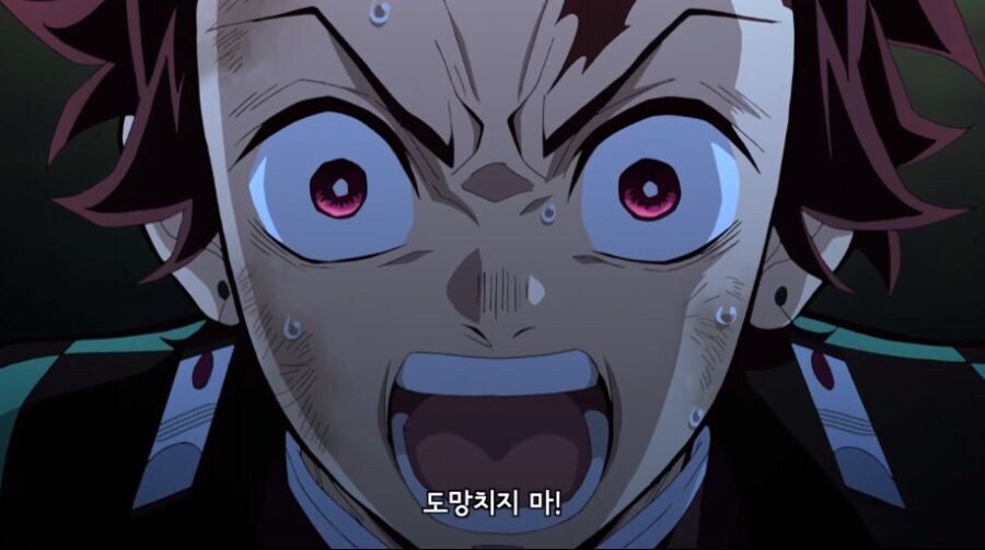 이런 개꿀잼 기회를 또 볼 수 있었는데 놓쳤네 까비_5.jpg