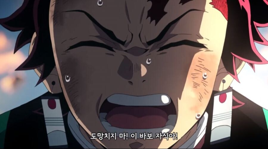 이런 개꿀잼 기회를 또 볼 수 있었는데 놓쳤네 까비_6.jpg