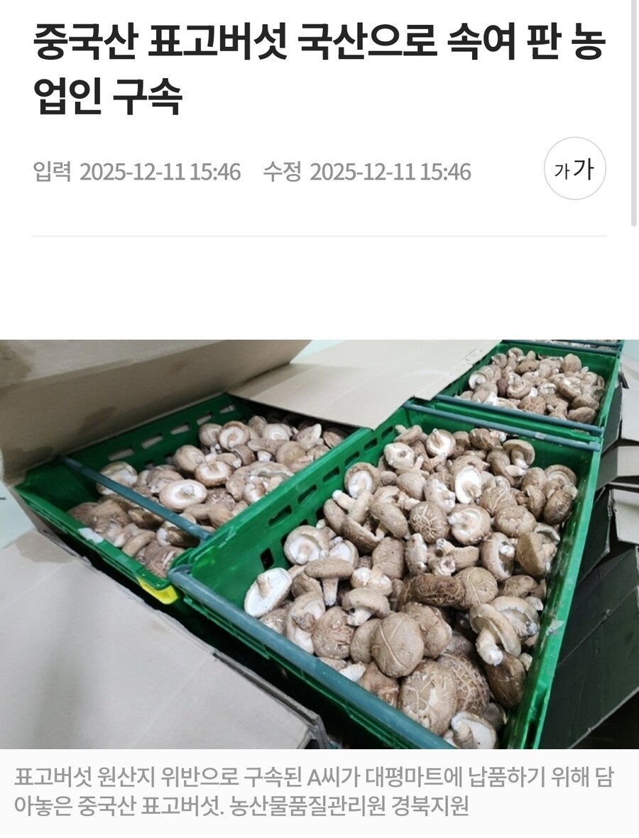 중국산 표고버섯 국산으로 속여 판 농업인 구속_1.jpg