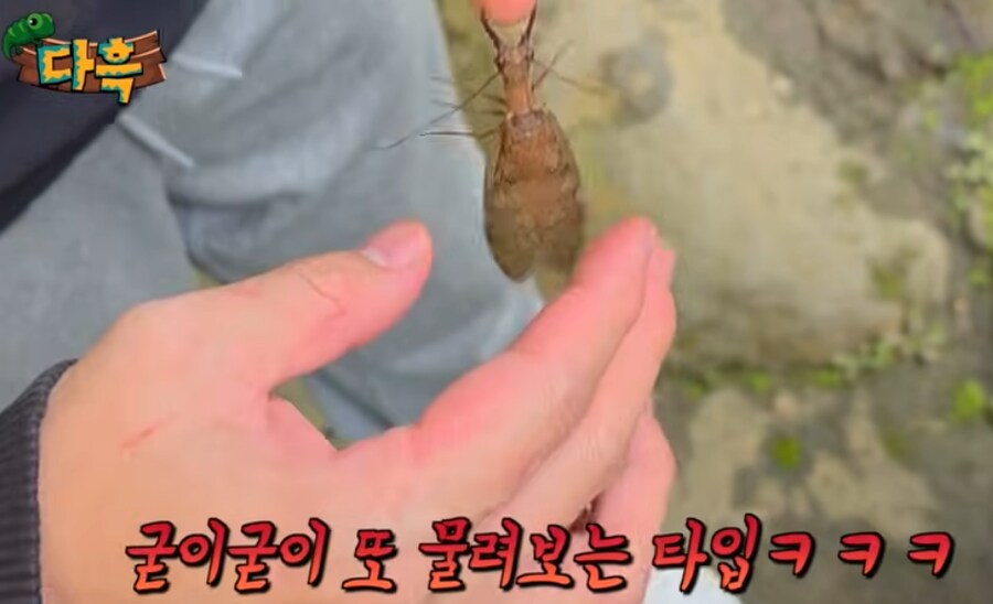 와 콜롬비아(수정) 뱀잠자리 개 무섭다._1.png