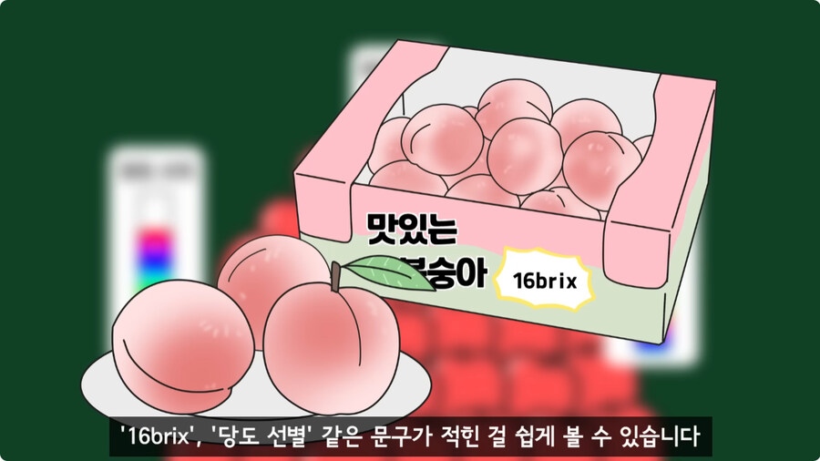 과일을 먹지 않고 당도를 측정하는 방법.jpg_1.jpg