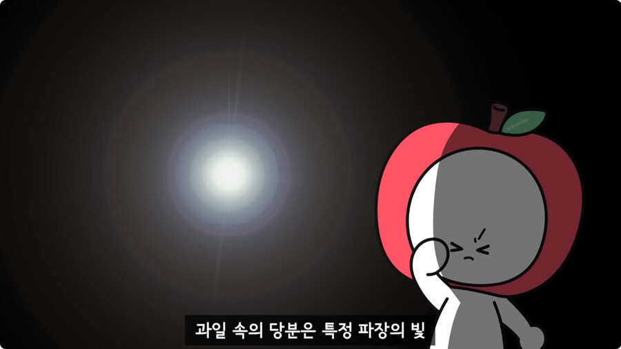 과일을 먹지 않고 당도를 측정하는 방법.jpg_7.jpg