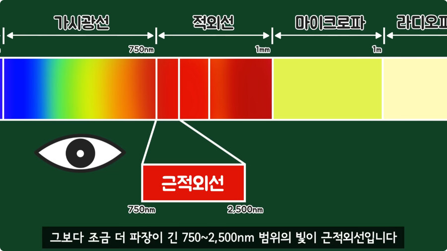 과일을 먹지 않고 당도를 측정하는 방법.jpg_12.jpg