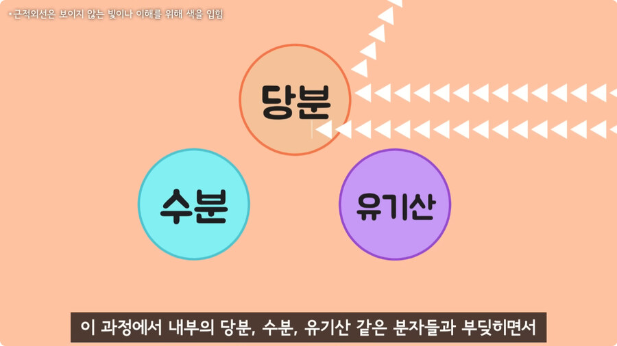 과일을 먹지 않고 당도를 측정하는 방법.jpg_15.jpg