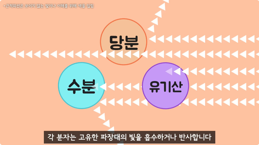 과일을 먹지 않고 당도를 측정하는 방법.jpg_16.jpg