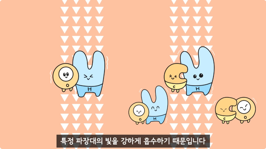 과일을 먹지 않고 당도를 측정하는 방법.jpg_19.jpg