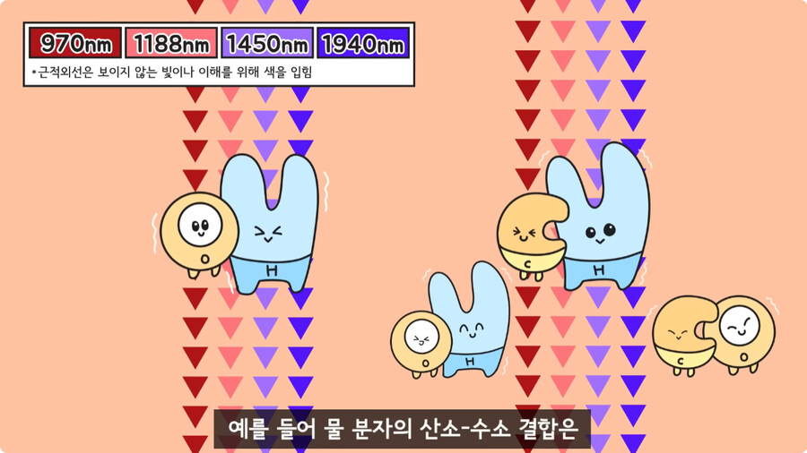 과일을 먹지 않고 당도를 측정하는 방법.jpg_20.jpg