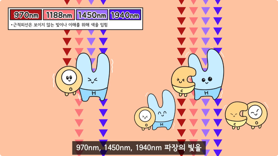 과일을 먹지 않고 당도를 측정하는 방법.jpg_21.jpg