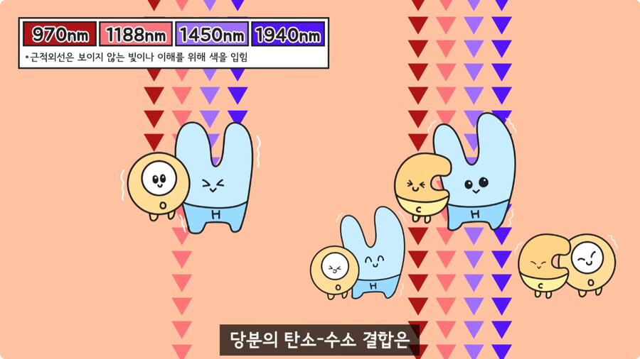 과일을 먹지 않고 당도를 측정하는 방법.jpg_22.jpg