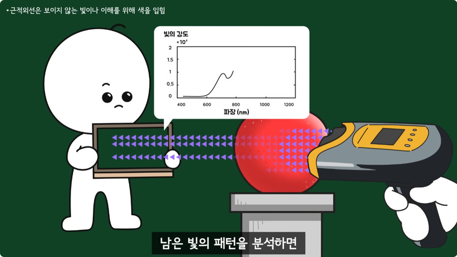 과일을 먹지 않고 당도를 측정하는 방법.jpg_28.jpg