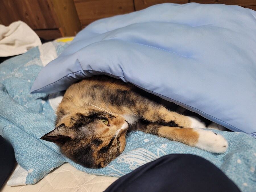 새벽에 집으로 복귀하고 먹은 라면은 마싯었다 흑흑_5.jpg