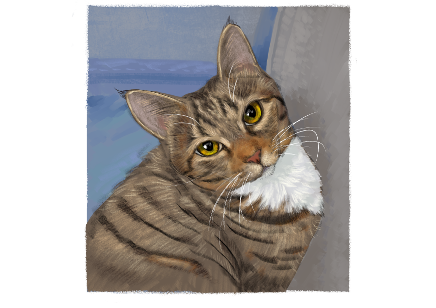 남의집 고양이 보고가이소_1.png