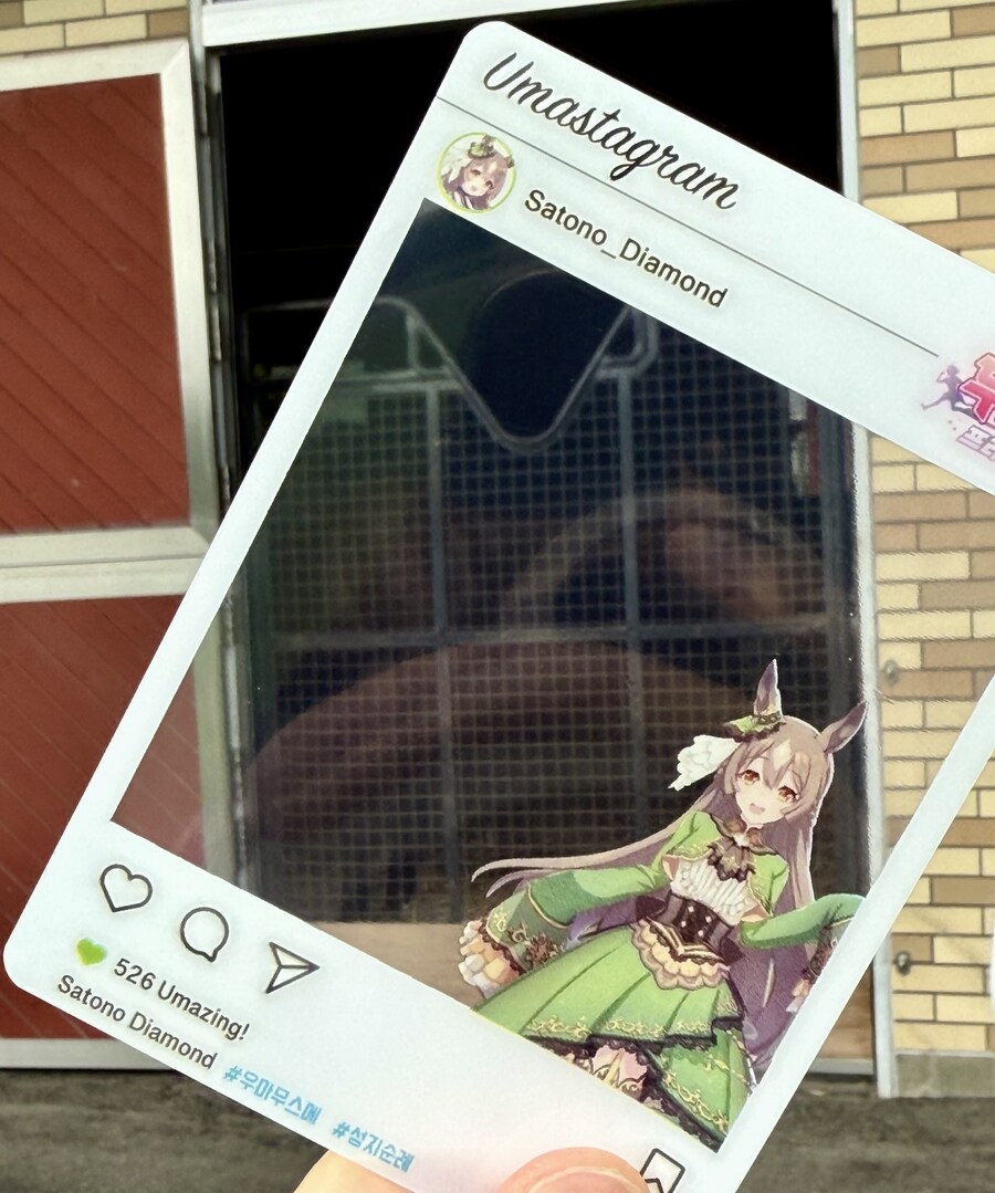 말딸) 자작 포토카드를 들고 홋카이도를 돌고 왔어 (말 구경편)_8.jpg