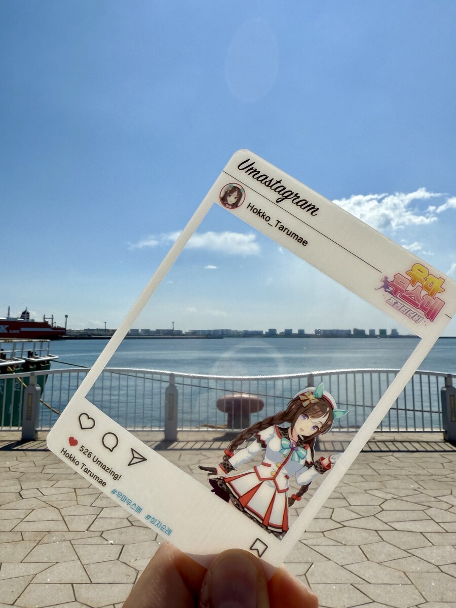 말딸) 자작 포토카드를 들고 홋카이도를 돌고 왔어 (말 구경편)_17.jpg