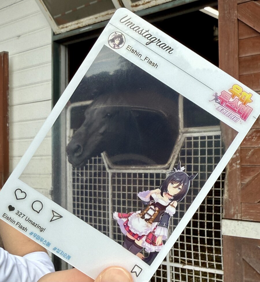 말딸) 자작 포토카드를 들고 홋카이도를 돌고 왔어 (말 구경편)_42.jpg