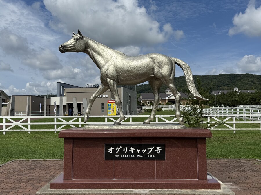 말딸) 자작 포토카드를 들고 홋카이도를 돌고 왔어 (말 구경편)_54.jpg