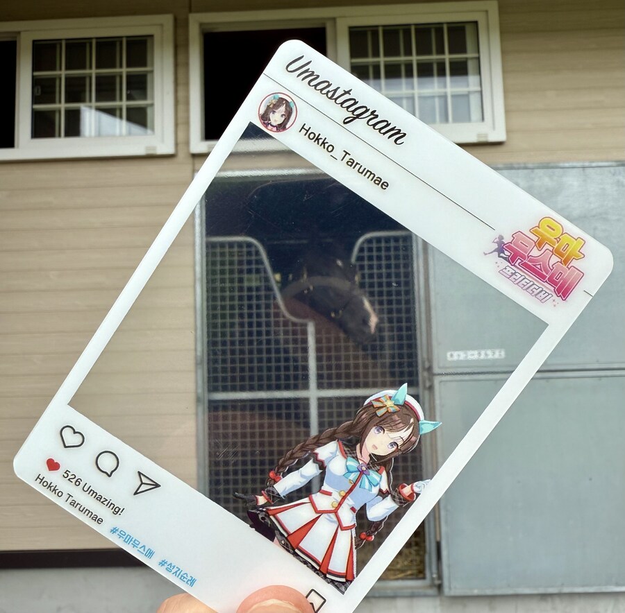 말딸) 자작 포토카드를 들고 홋카이도를 돌고 왔어 (말 구경편)_63.jpg