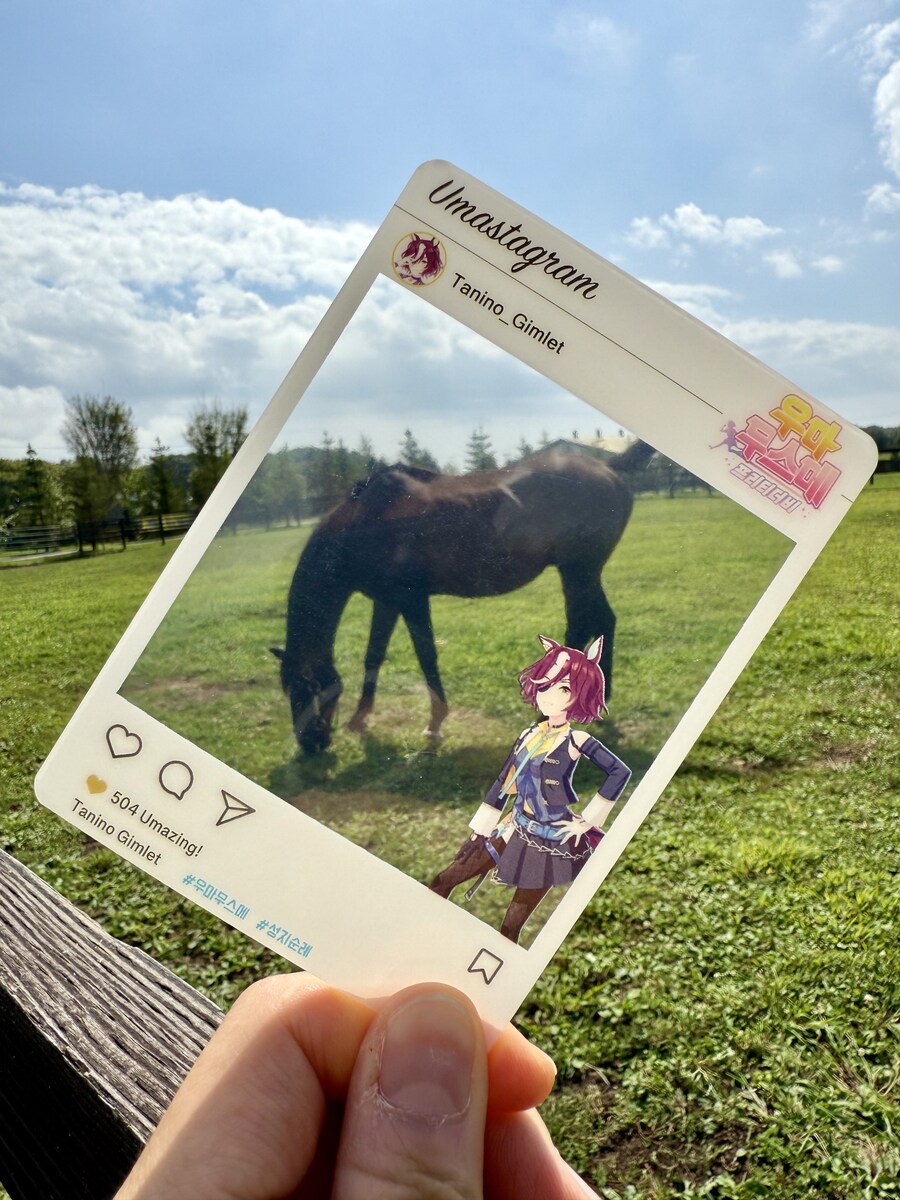 말딸) 자작 포토카드를 들고 홋카이도를 돌고 왔어 (말 구경편)_75.jpg