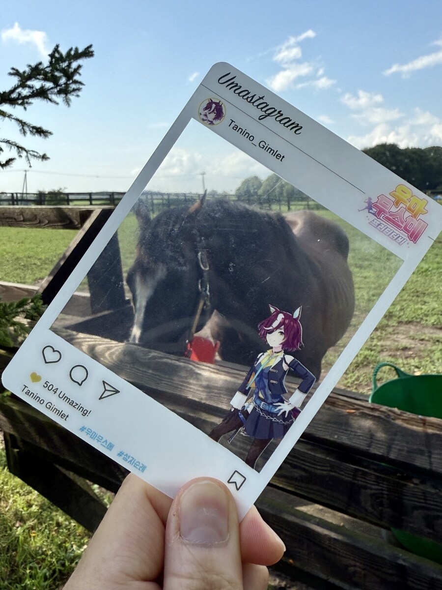 말딸) 자작 포토카드를 들고 홋카이도를 돌고 왔어 (말 구경편)_76.jpg