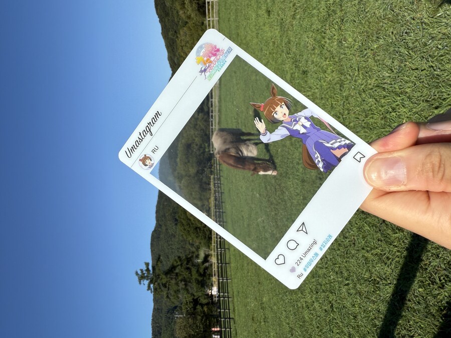 말딸) 자작 포토카드를 들고 홋카이도를 돌고 왔어 (말 구경편)_99.jpg