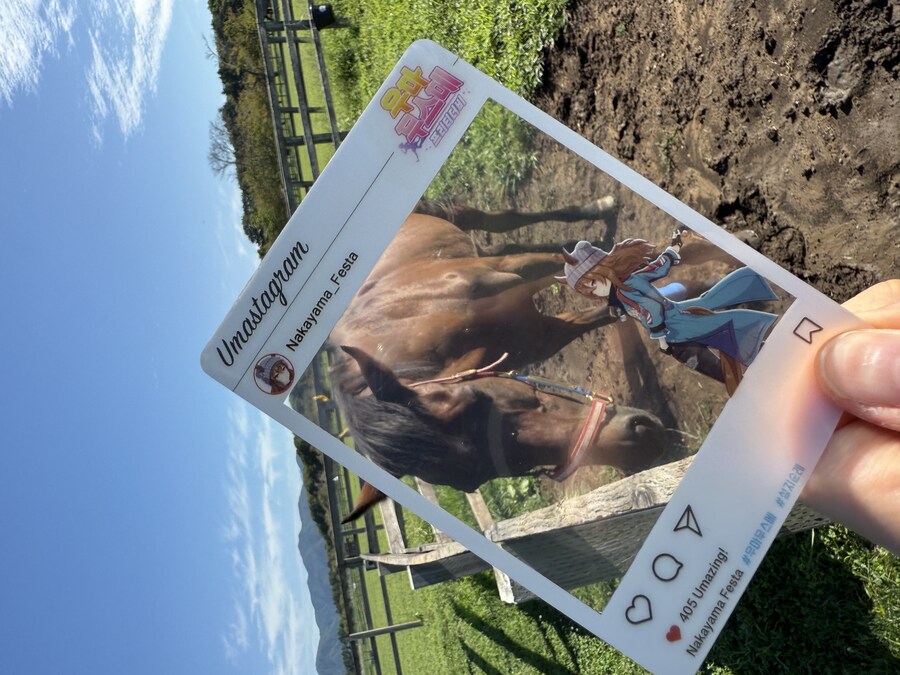 말딸) 자작 포토카드를 들고 홋카이도를 돌고 왔어 (말 구경편)_103.jpg