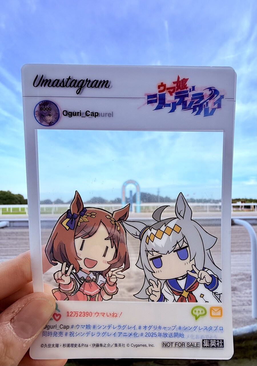 말딸) 자작 포토카드를 들고 홋카이도를 돌고 왔어 (말 구경편)_1.jpg