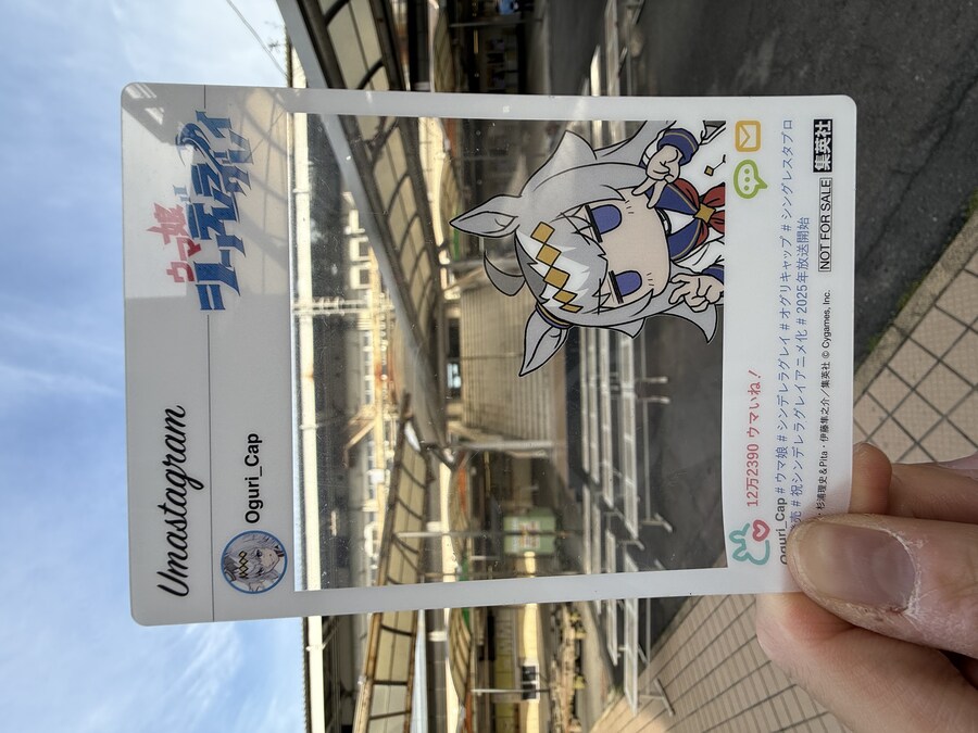 말딸) 자작 포토카드를 들고 홋카이도를 돌고 왔어 (말 구경편)_2.jpg