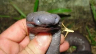 ??? : 진짜 ㅈ같이 생겼네.JPG_3.webp