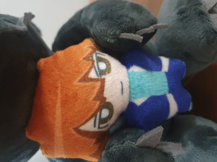 흑룡인형이 드디어 왔습니다!_11.jpg