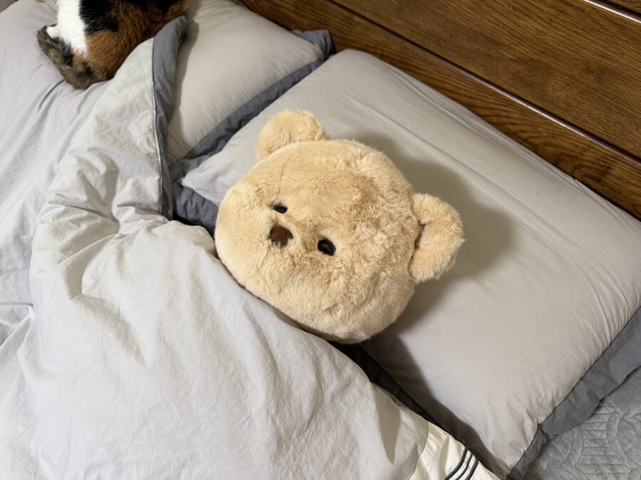 테디테일즈 레나베어 60cm_12.jpg