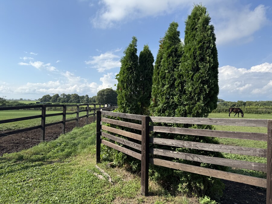 말딸) 자작 포토카드를 들고 홋카이도를 돌고 왔어 (말 구경편)_77.jpg