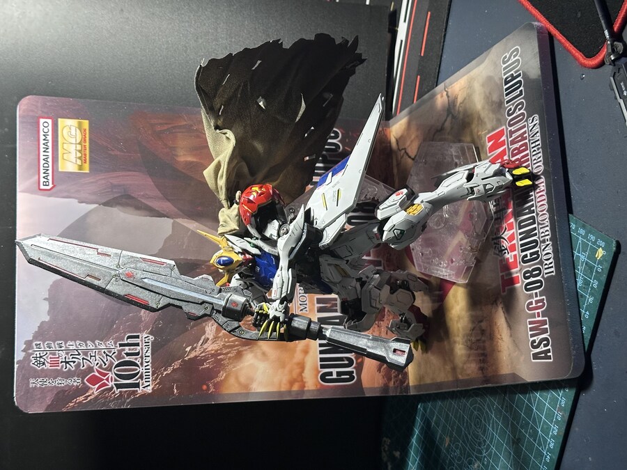 MG 발바토스 루푸스 + led + 아크릴스탠드_20.jpg