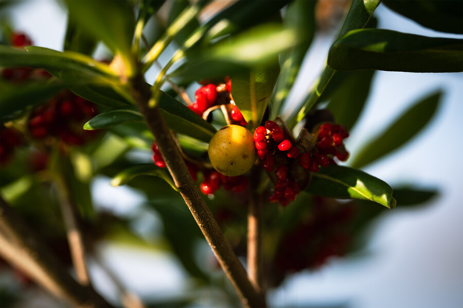 길 걷다 만난 꽃과 벌레 친구들 입니다._5.jpg