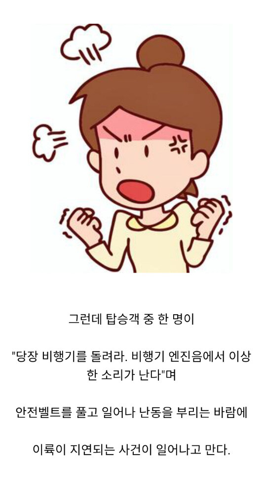 어느 손님이 항의 해서 비행기 회항한 사건_2.jpg