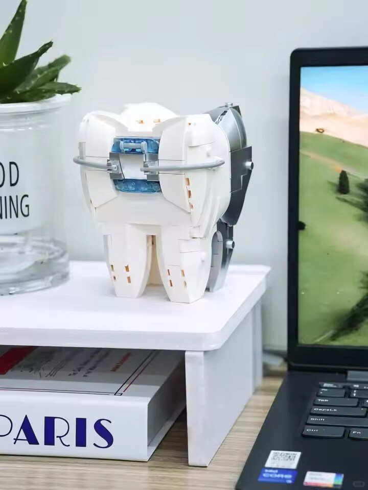 중국 짭 레고 근황.dental_1.jpg