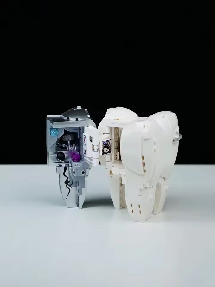 중국 짭 레고 근황.dental_3.jpg