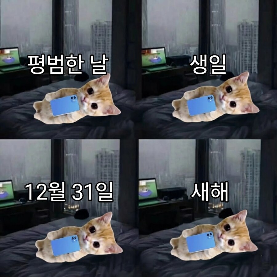 올해 요약_1.jpg