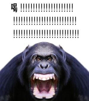 버튜버) 뭐지, 무슨 일이 벌어지고 있는거지?_2.jpg