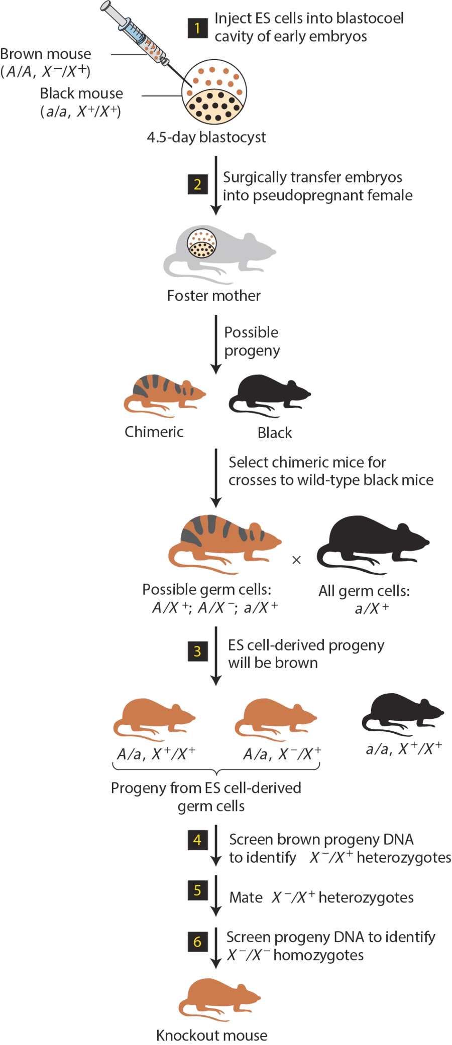 무제한 근친ㅅㅅ해도 안전한 동물_2.webp