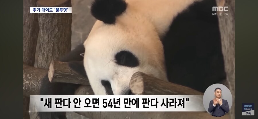 일본 지인이 중일 갈등으로 판다 반환 하는거_2.png