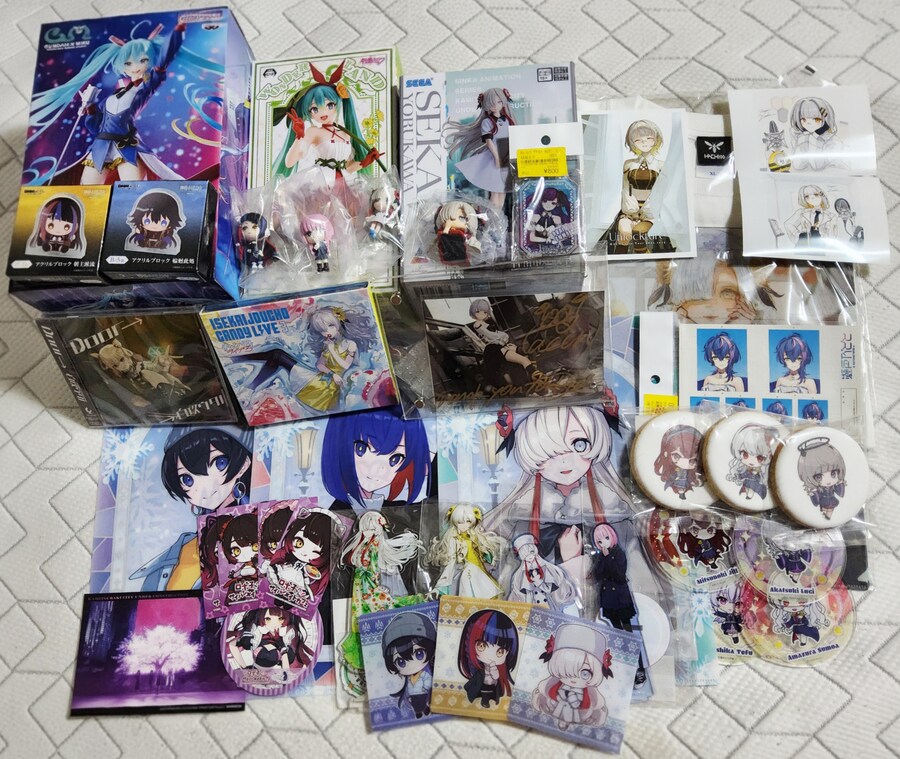 스압) 하치 라이브 및 이것저것 일본 여행 결산_18.jpg