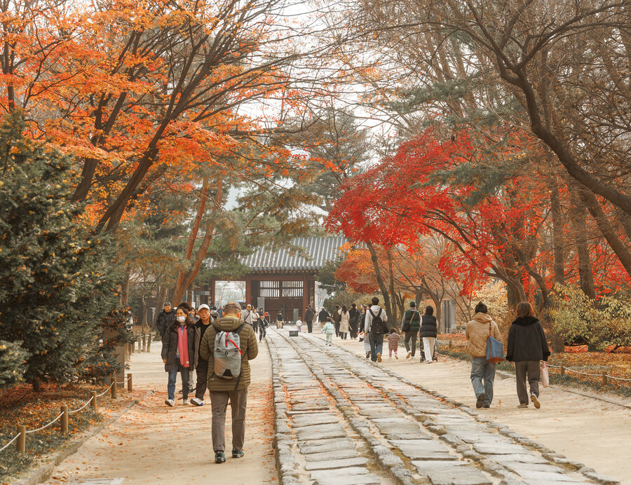 종묘 단풍구경_4.jpg