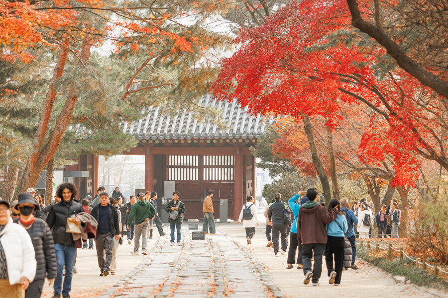 종묘 단풍구경_20.jpg