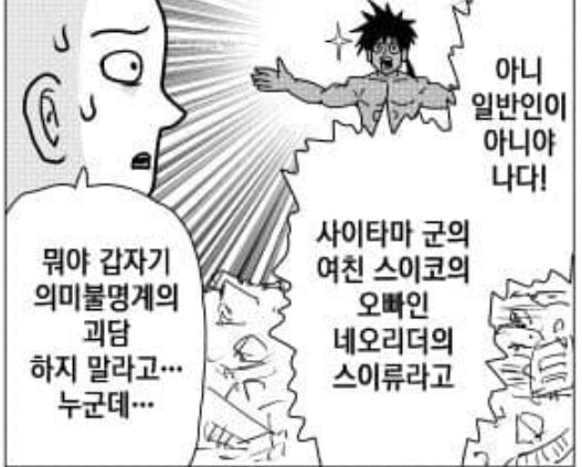 원펀맨. 스이류의 여동생 스이코는_6.jpg