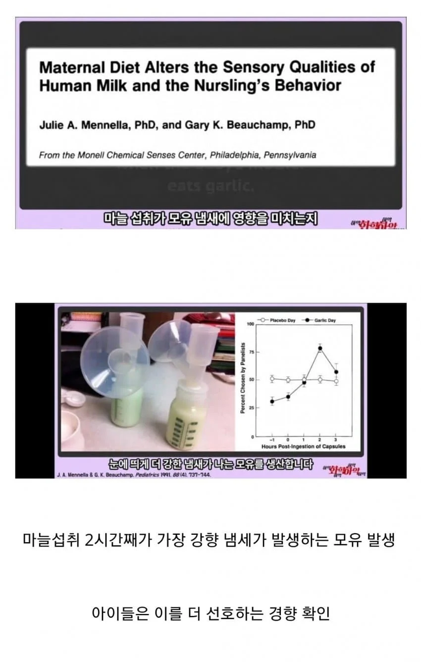 마늘이 모유에 미치는 영향.jyp_1.webp