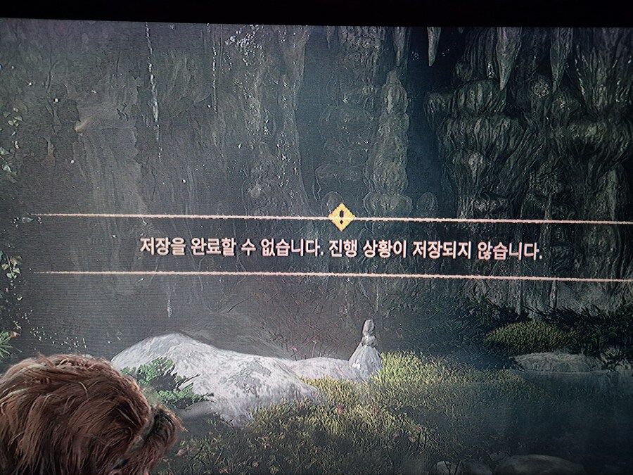 호제던 리마스터 저장오류 도와주세요ㅠㅠ_1.jpg